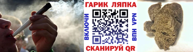 Купить где  Курлово  ГАШ Premium 