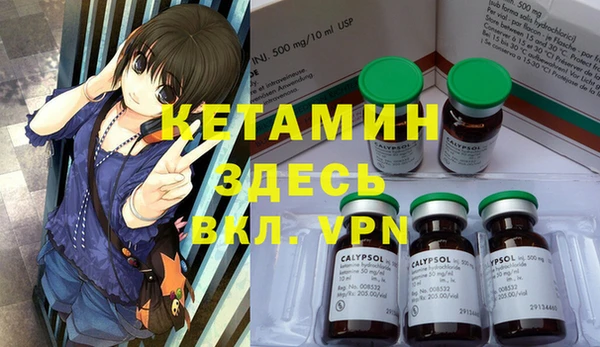 2c-b Ельня