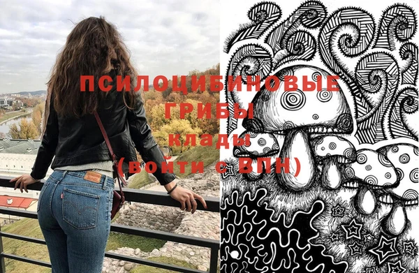прущая мука Елабуга